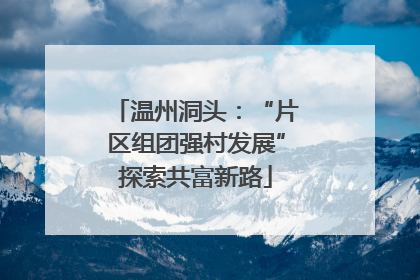 温州洞头：“片区组团强村发展”探索共富新路
